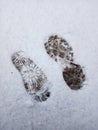 Child and adult footprint from a boot on white snow in the winter season Royalty Free Stock Photo