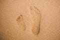 Child and adult footprints on sand beach Royalty Free Stock Photo