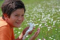 Child with an allergy to pollen while sneeze in the middle of th Royalty Free Stock Photo