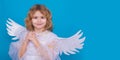 Child angel. Portrait of cute kid with angel wings isolated on studio background. Wide banner panoramic header. Little