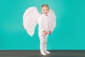 Child angel. Small cute cupid boy. Full length.