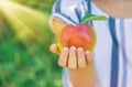 child with an apple in the garden. Selective focus Royalty Free Stock Photo