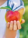 child with an apple in the garden. Selective focus Royalty Free Stock Photo