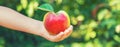 child with an apple in the garden. Selective focus Royalty Free Stock Photo