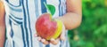 child with an apple in the garden. Selective focus Royalty Free Stock Photo