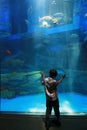 Child in aquarium