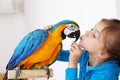 Child with ara parrot Royalty Free Stock Photo