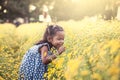 Child asian little girl smelling flower in the garden Royalty Free Stock Photo