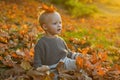 Child autumn leaves background. Warm moments of autumn. Toddler boy blue eyes enjoy autumn. Small baby toddler on sunny Royalty Free Stock Photo