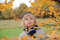 Child in autumnal park Royalty Free Stock Photo