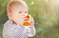 Child (baby boy) bites apple in the sunny autumn day outdoor. Kid eating healthy food, snack. Royalty Free Stock Photo