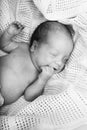 Child baby infant beautiful portrait black and white Royalty Free Stock Photo