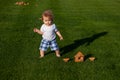 Child baby playing on sunny field, summer outdoor kids lifestyle. Happy baby boy learning to walk on grass outdoors. Royalty Free Stock Photo