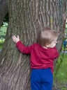 Child. The baby tries to hug a huge tree trunk.