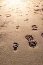 Child bare foot and adult footprints on a sand lead to bright sun light spot. Day out on a beach concept. Family time outdoors Royalty Free Stock Photo