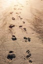 Child bare foot and adult footprints on a sand lead to bright sun light spot. Day out on a beach concept. Family time outdoors Royalty Free Stock Photo