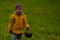 A Child With A Basket Stands In A Field Of Dandelions.