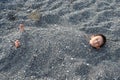 Child on the beach covered with pebbles Royalty Free Stock Photo