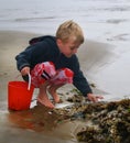 Child on Beach Explore Tide Pool