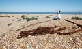 Child beach industry scrap