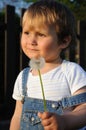 Child with blow-ball Royalty Free Stock Photo