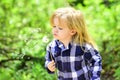 Child blow dandelion in spring or summer park