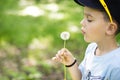 Child blowing dandelion seeds outdoor Royalty Free Stock Photo