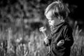 Child blowing dandelion seeds in park Royalty Free Stock Photo