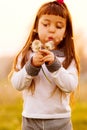 Child Blowing Dandelions