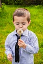 Child blowing Dandellion seed Royalty Free Stock Photo