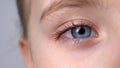 Child with blue eyes looking into camera, vision check, ophthalmology close-up Royalty Free Stock Photo