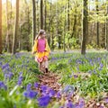 Child with bluebell flowers in spring forest