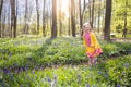 Child with bluebell flowers in spring forest