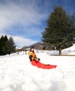 Child with bob on the snow in the mountains Royalty Free Stock Photo