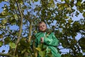 Child Boy on Apple Tree climbing. Royalty Free Stock Photo