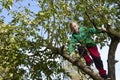 Child Boy on Apple Tree climbing. Royalty Free Stock Photo