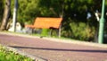 Child boy on a bicycle in the forest in summer. Boy cycling outdoors in safety