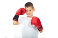 Child boy with boxing gloves Royalty Free Stock Photo