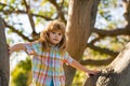 Child boy climbing high tree in the summer park. Portrait of cute kid boy sitting on the tree, climbing a tree. Active Royalty Free Stock Photo