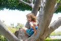 Child boy climbing high tree in the summer park. Portrait of cute kid boy sitting on the tree, climbing a tree. Kid boy Royalty Free Stock Photo