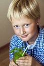 Child boy drinking green smoothie Royalty Free Stock Photo