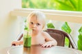 Child boy drinking healthy green vegetable smoothie - healthy eating, vegan, vegetarian, organic food and drink concept Royalty Free Stock Photo