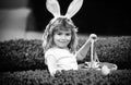 Child boy with easter eggs and bunny ears laying on grass. Child gathering eggs, easter egg hunt concept. Royalty Free Stock Photo