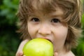 Child boy eating an apple in a park in nature. Royalty Free Stock Photo