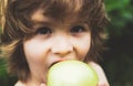 Child boy eating an apple in a park in nature. Royalty Free Stock Photo