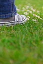 Child boy or girl feet in jeans and sneakers standing on green grass with daisies Royalty Free Stock Photo