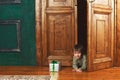 Child boy peeks out of the door with a christmas gift box Royalty Free Stock Photo