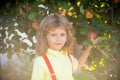 Child boy picking apples on backyard. Portrait kid in orchard apple garden, tree with apples. Royalty Free Stock Photo