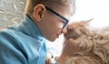 A child, a boy plays with his favorite fluffy red cat by the window. A child strokes a cat. Attachment between children Royalty Free Stock Photo