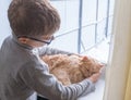 A child, a boy plays with his favorite fluffy red cat by the window. A child strokes a cat. Attachment between children Royalty Free Stock Photo